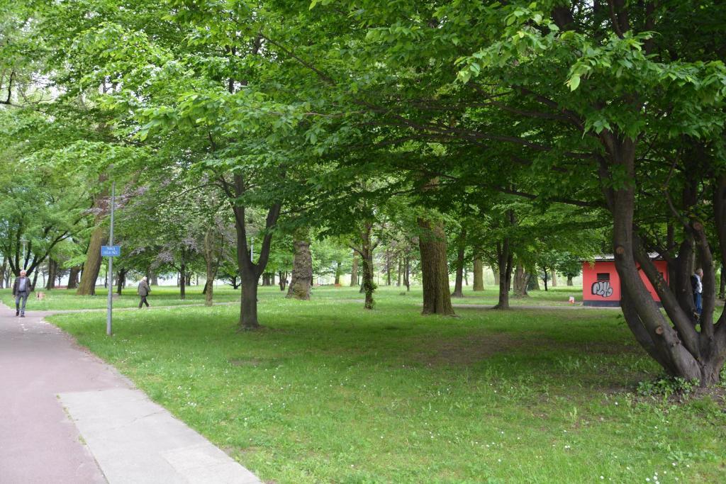 Apartment Locarno-Lido Zewnętrze zdjęcie